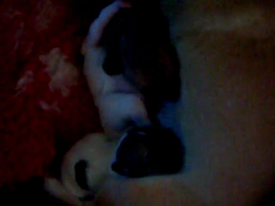 videos des bb à 6 jours 002