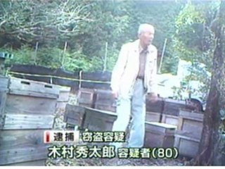 ミツバチの巣箱泥棒、カメラが捉える