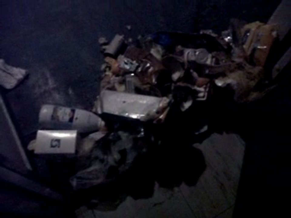 VID 00012-20110125-0635