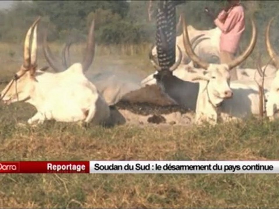 Soudan du Sud  le désarmement du pays continue
