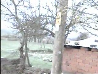 ben ki, gider miyim?