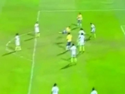 Joli ciseau acrobatique en Égypte