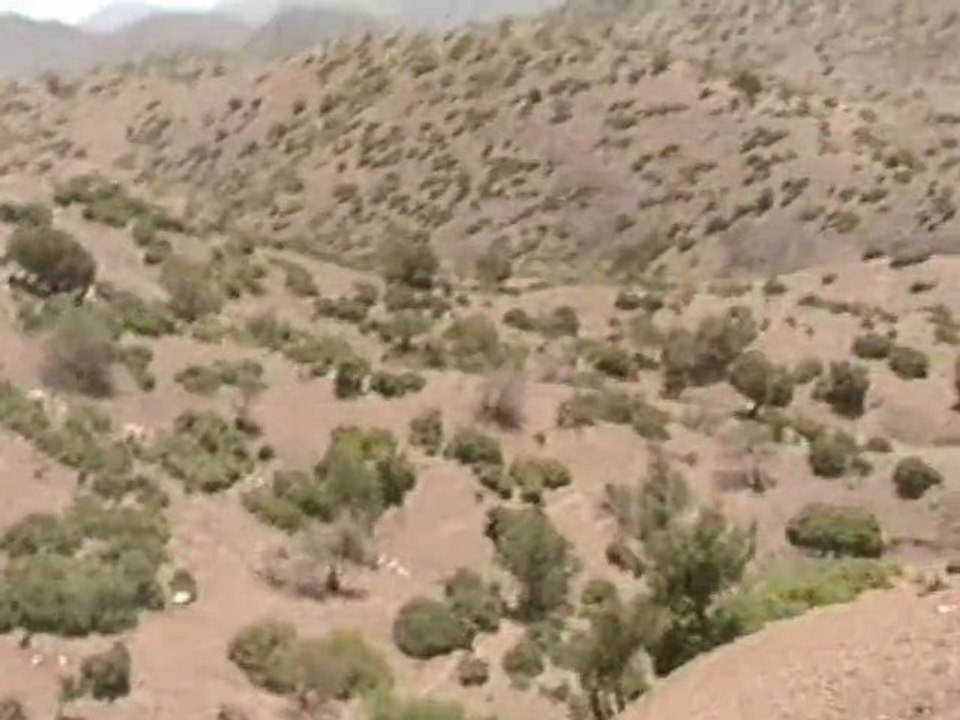 film en route vert tisselday