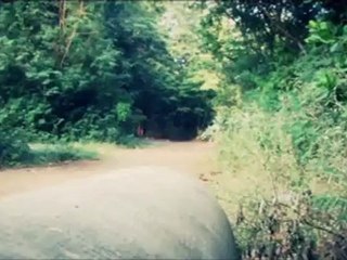 RUN - An Experimental Short Film By Sooryah Prakash