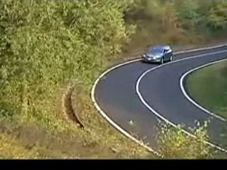 Ford Mondeo Sport Break