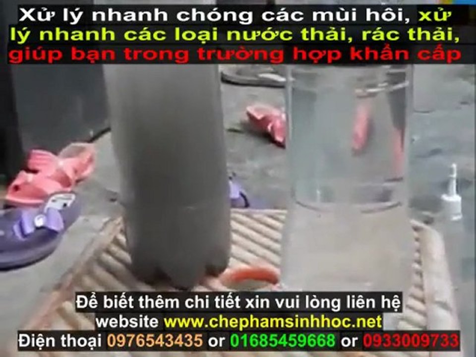 Xử lý nước thải thủy sản - nước thải chăn nuôi với chế phẩm sinh học Weviro 1