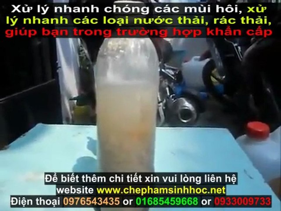 Xử lý nước thải thủy sản - nước thải chăn nuôi với chế phẩm sinh học Weviro 2