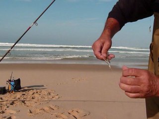 Hameçon spécial pour fixer lançons .