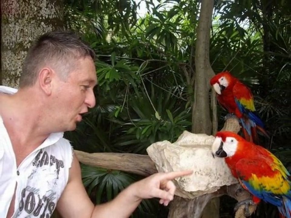 Xcaret in Mexiko ein toller Park Film Video TUI TRAVELSTAR