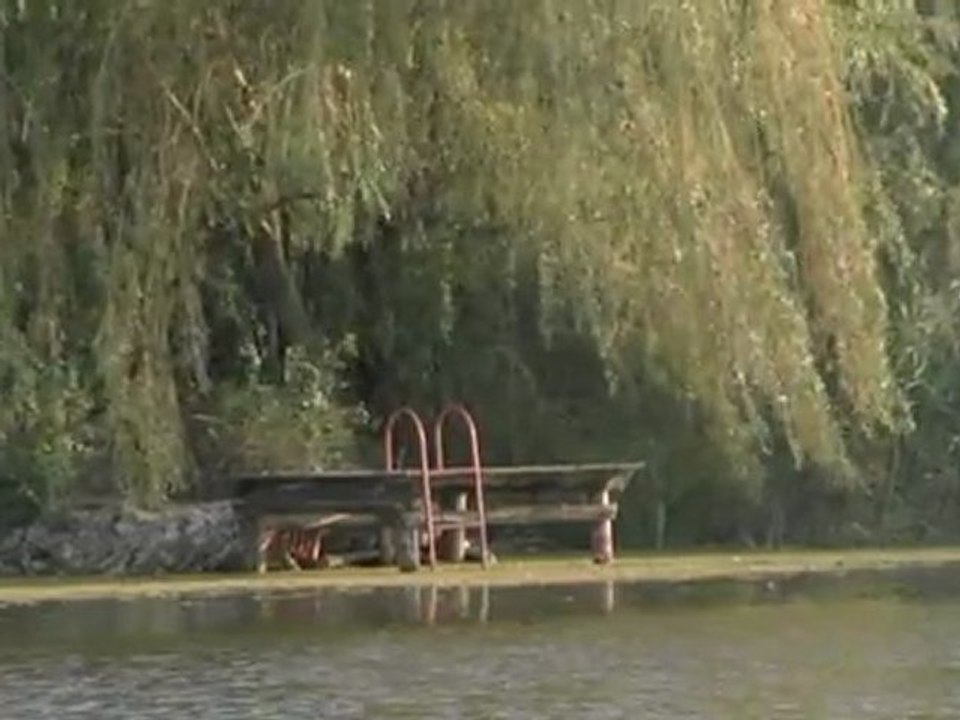 Waterscape 6