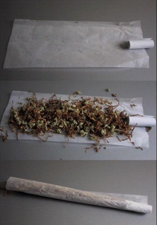 Ganja Squat - Fais pousser la sensi, fais fumer la weed