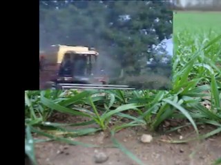 CFA 71 Site de Gueugnon - Du blé au pain