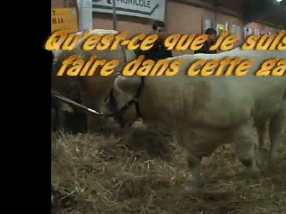 CFA 71 Site de Gueugnon - Election miss et mister charolais 2012