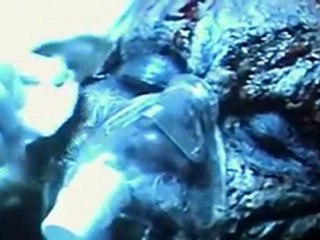 Ghost (2012) TvFunda.Com Pt4