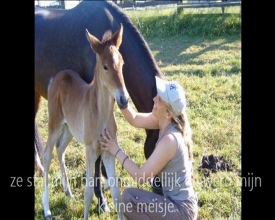 4 peruvian angels shana, paco, pilasha and bolero