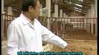 Chế phẩm balasa NO1 - dùng làm đệm lót lên men - đệm lót sinh học giúp người chăn nuôi heo, lợn đỡ tốn chi phí lao động