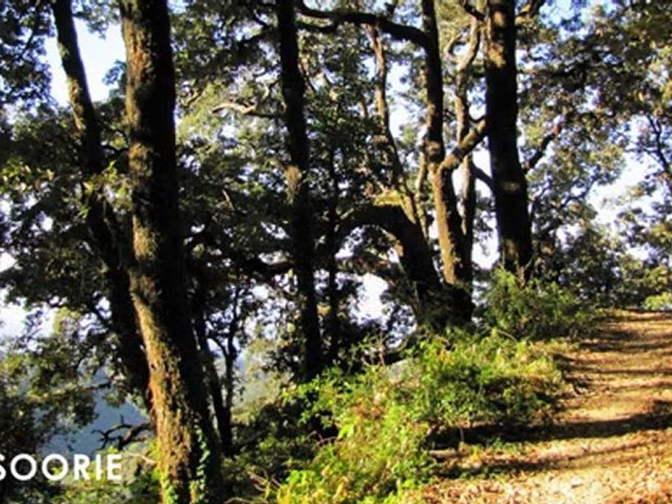 Mussoorie 2 Nights Tour, Mussoorie Tour Packages