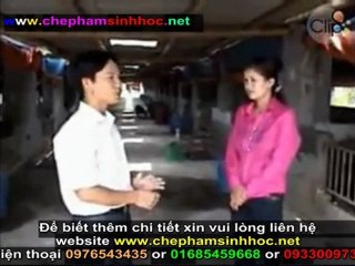 Cách ủ men vi sinh NN1 - hướng dẫn sử dụng men vi sinh NN1 phần 6