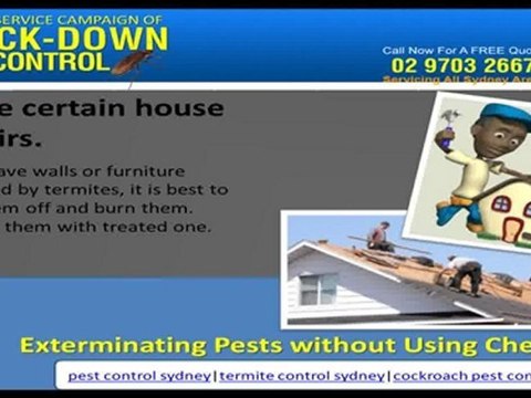 Pest Control Sydney - Exterminating Pests without Using Chemicals