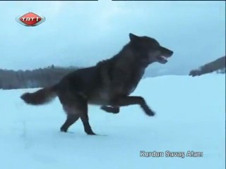 Kurdun Savaş Alanı - Belgesel