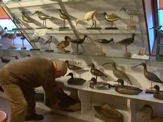 Collection Wadoux : les plus belles blettes de Picardie maritime !