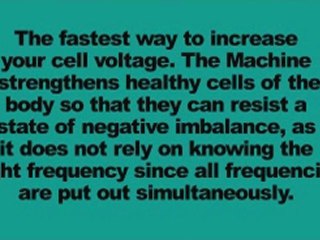 Body Energizer Vibrating Plate Exericise Free Shipping