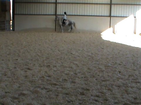 trot arrêt reculer piaffer G mieux