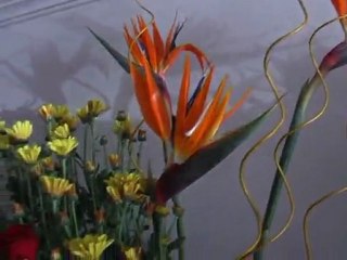 snapshots Pune EPisode 03 mg road