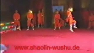 Shaolin Kung Fu - Snake Form