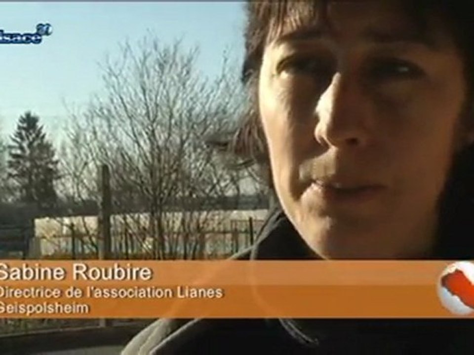 Lianes: pour le maintien du lien Homme-Animal