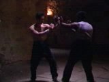 Kung fu - wing chun fighting