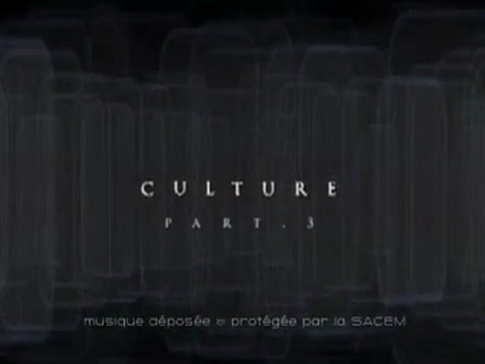Culture-part3