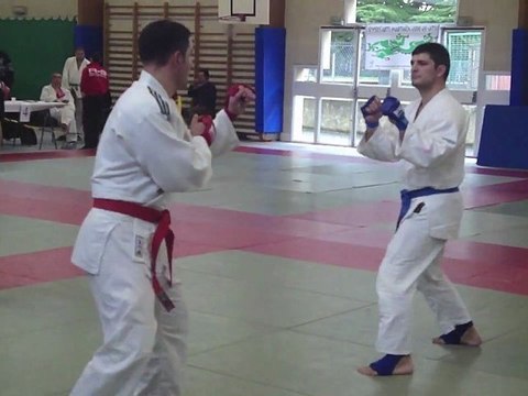 Jujitsu Fighting #10 - Tournoi Seysses 2012