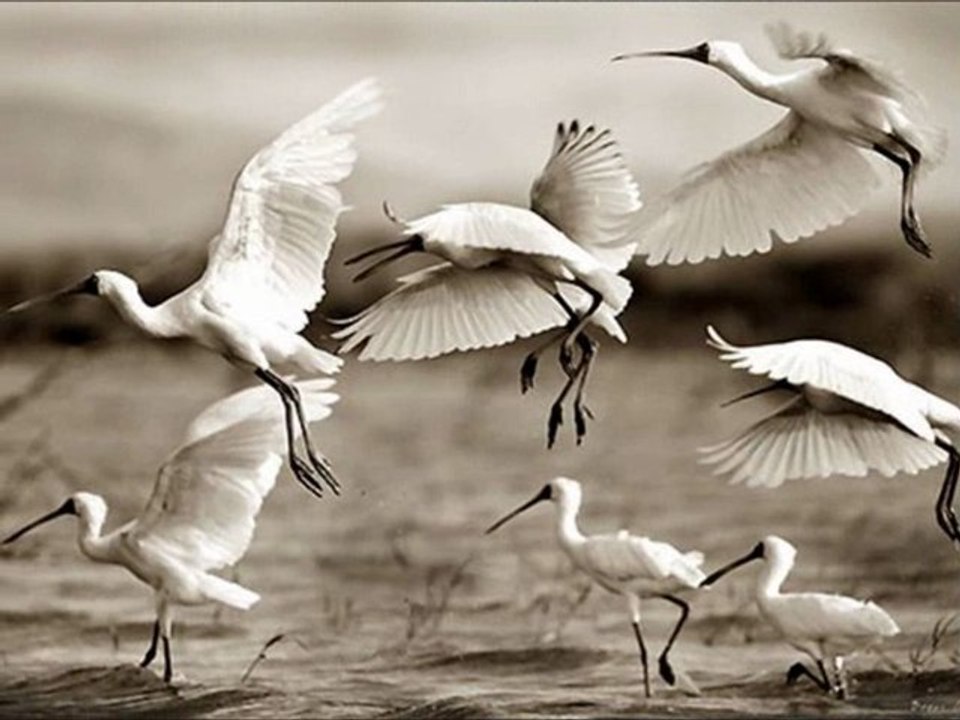 Kroshka Waltz ~ John Sokoloff
