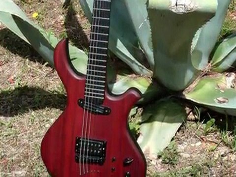 Luthier Pierre-Marie Châteauneuf (PMC Guitares)