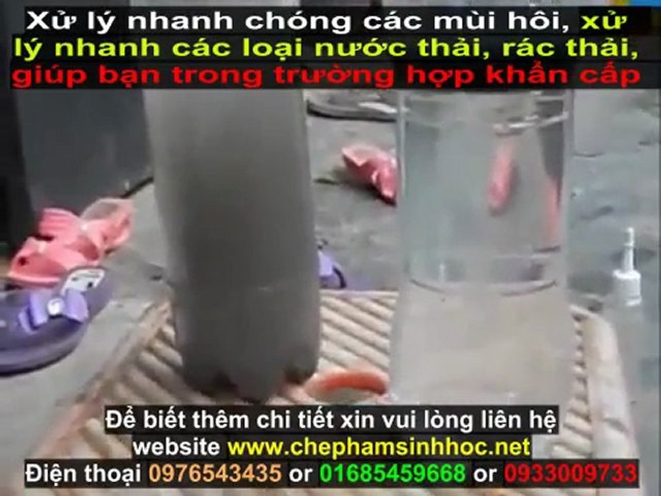 Xử lý mùi hôi nước thải chuồng trại chăn nuôi - Xử lý nước thải chăn nuôi lợn heo hiệu quả với chế phẩm weviro