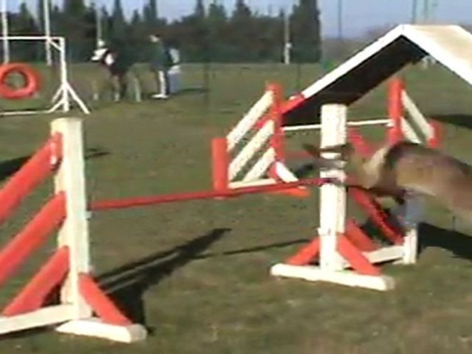 Fame agility