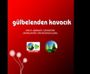gülbelenden kavacık