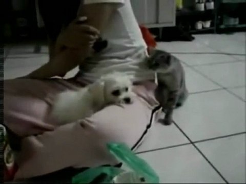 İnternet Medyası ( 5-C ) - Yeni Asır TV-ESIN SAYIN- ISIL YILMAZ- TAYLAN OZGUR DEMIRKAYA 5. Program