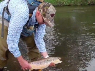 Wyoming Ranch For Sale - Riverbend Ranch, Laramie