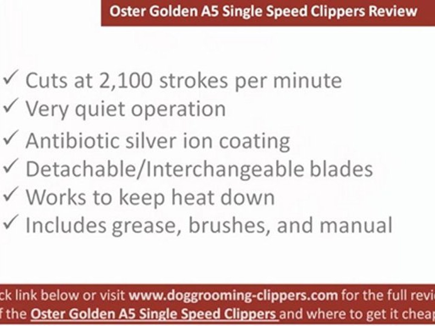 oster golden single speed a5