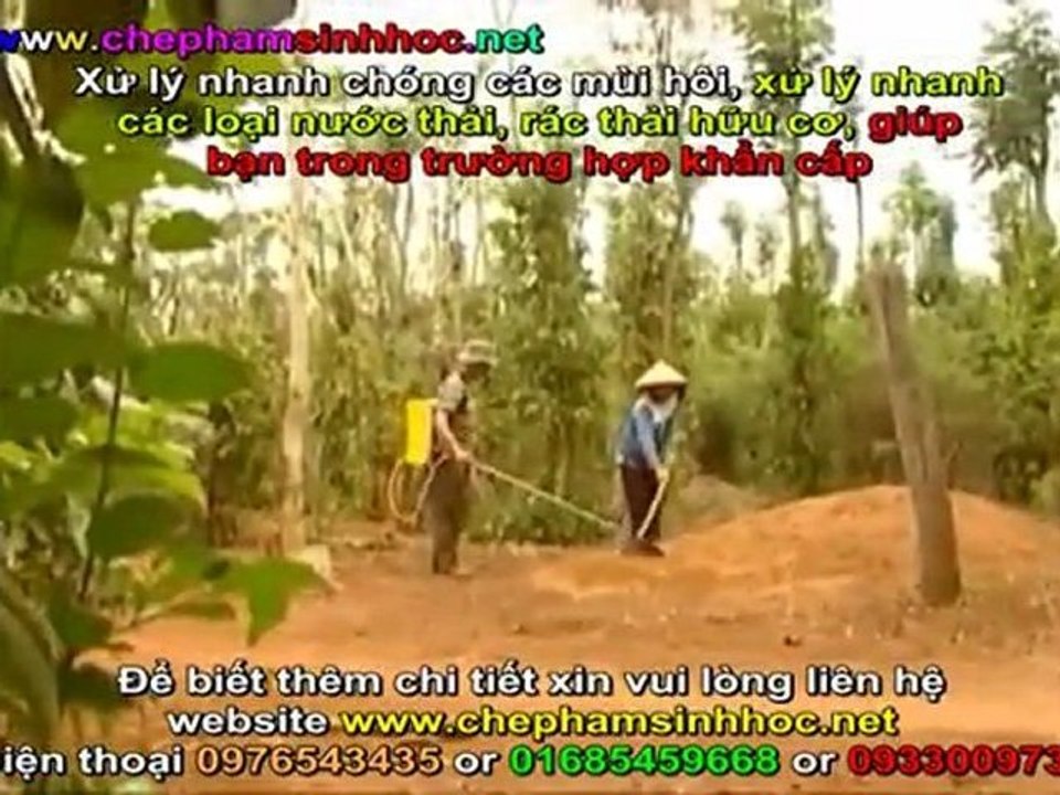 Xử lý chất thải chăn nuôi, xử lý mùi hôi nhà vệ sinh, nhà tắm, toilet nhanh chóng hiệu quả, tiện lợi với Weviro 3