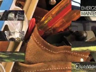 Northwood Apartments in San Antonio, TX - ForRent.com