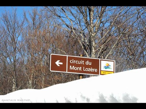 ©LE MAS DE LA BARQUE 2009 PHOTOS&PHOTOS-PEINTURES MARTINE ANCIAUX©TELEVISION