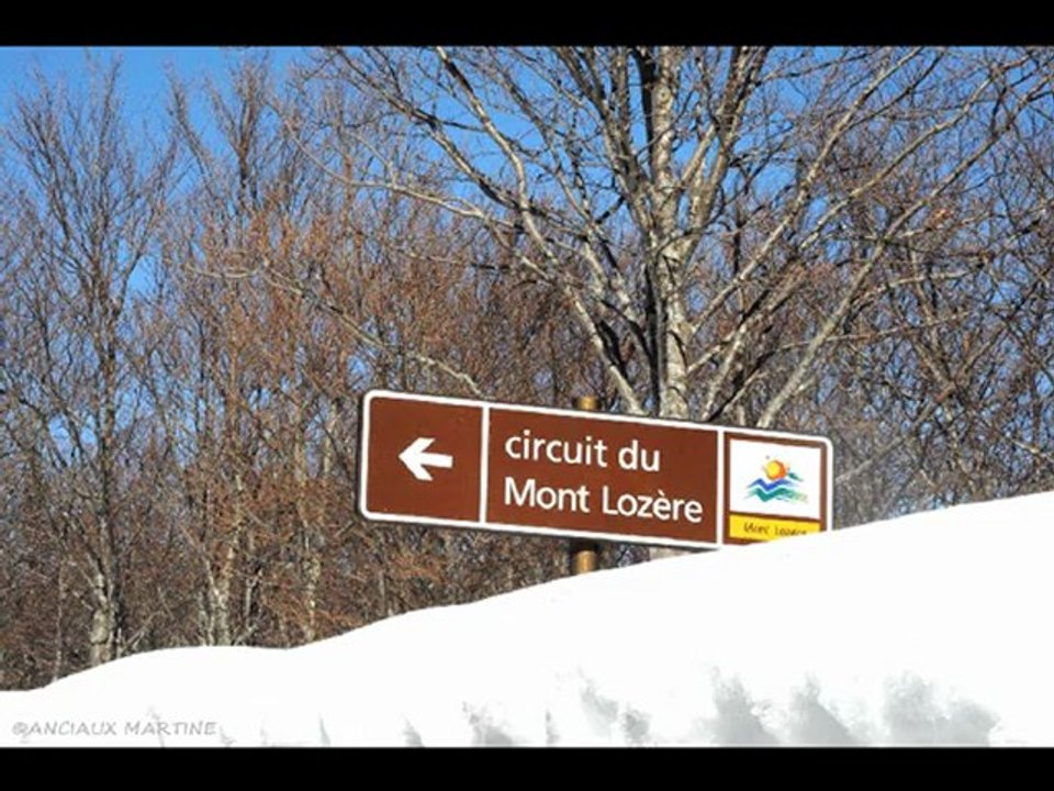 ©LE MAS DE LA BARQUE 2009 PHOTOS&PHOTOS-PEINTURES MARTINE ANCIAUX©TELEVISION