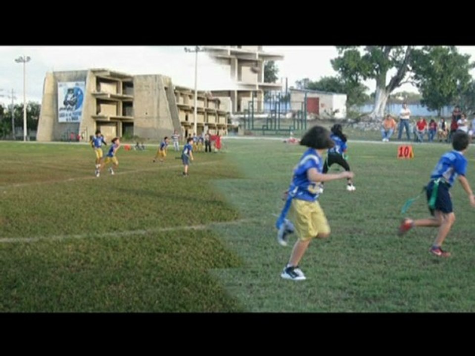 Bitch - Dragones infantil