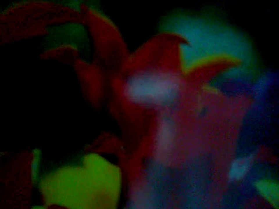 Birsen - Camdan Kalp