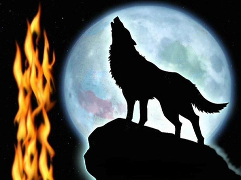 Ozan Ünsal-Turan Bizim Ülkümüz-Ülkücü Alperen Bozkurt