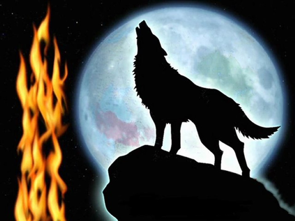 Ozan Ünsal-Turan Bizim Ülkümüz-Ülkücü Alperen Bozkurt