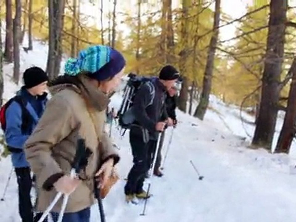 Sortie nature dans le Queyras
